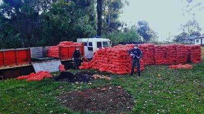 Masivo CONTRABANDO de cebollas desde la ARGENTINA