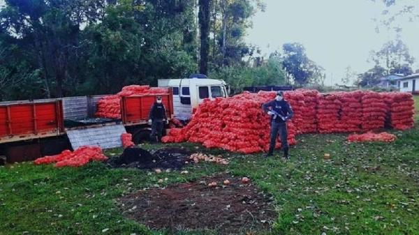 Masivo CONTRABANDO de cebollas desde la ARGENTINA