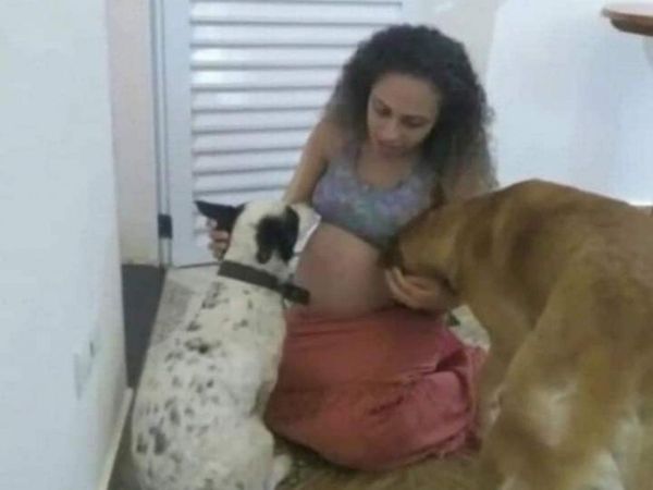 Brasil: Perro atacó y mató a gemelas recién nacidas