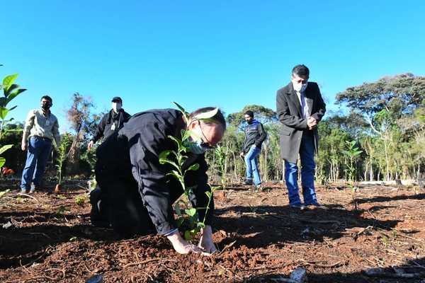 Itaipú recupera zona invadida e inicia reforestación - El Trueno