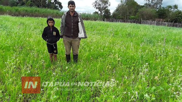 EJEMPLAR MANEJO DE ABONOS VERDES PARA RECUPERACIÓN DE SUELO.