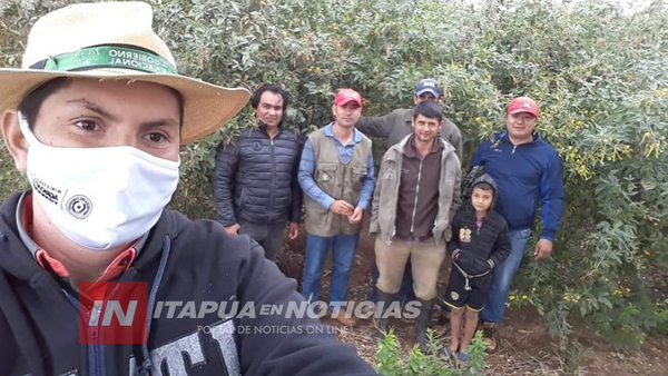 SAN PEDRO DEL PNÁ: EJEMPLAR MANEJO DE ABONOS VERDES PARA RECUPERACIÓN DE SUELO.