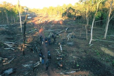 Itaipu inicia reforestación en zona recuperada de Puerto Indio, Alto Paraná - ADN Paraguayo