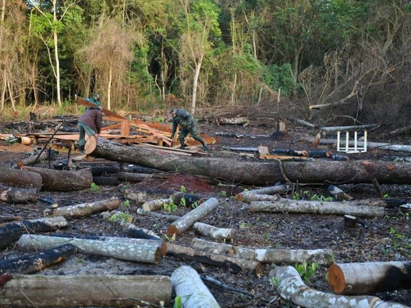 Itaipú recupera 11 hectáreas que estaban siendo depredadas