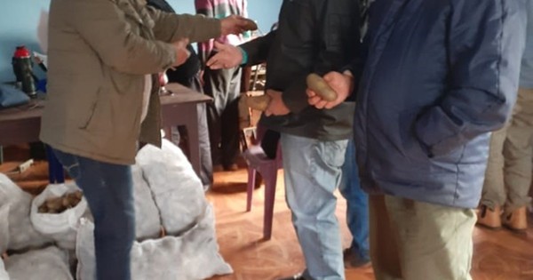 Productores de Itapúa reciben 23.000 kilos de semillas de papa