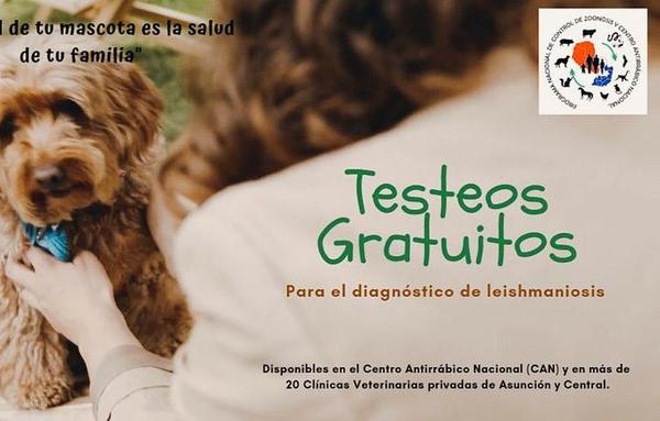 Ofrecen testeos gratuitos para el diagnóstico de leishmaniasis