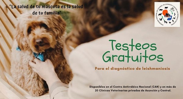 Ofrecen testeos gratuitos para el diagnóstico de leishmaniasis