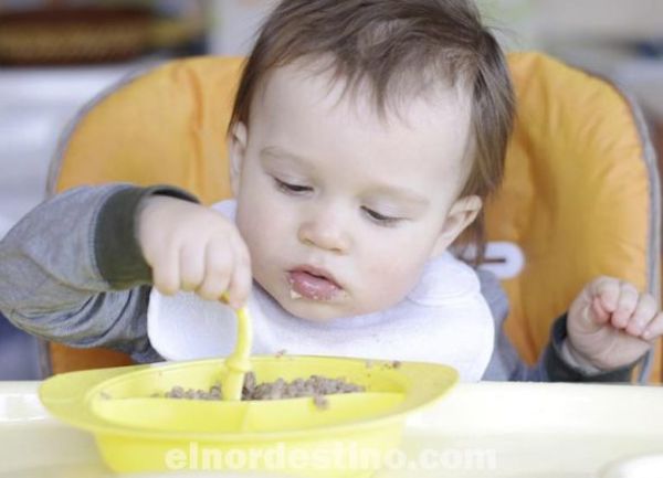Cómo enfrentarse a la falta de apetito de los niños y porque es importante educar su conducta alimenticia