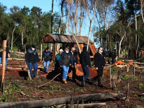 Se inicia la reforestación de zona boscosa depredada en  Puerto Indio