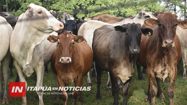 EXTENSIÓN DE LA CUENCA LECHERA EN ITAPÚA EXIGE TOMAR MEDIDAS SANITARIAS