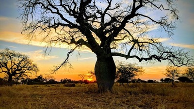 Meteorología anuncia jornada soleada y temperatura agradable para este sábado