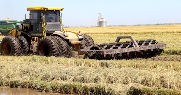 Piden agilizar trámites públicos para afrontar efectos de la pandemia en el campo