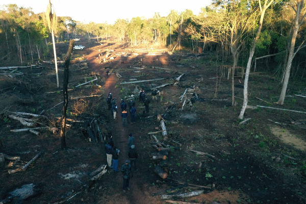 Con plantas nativas se reforesta zona depredada reserva de Puerto Indio - Noticde.com