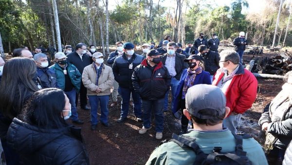 Imputaciones permiten la recuperación de 11 hectáreas deforestadas