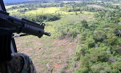 Narcotráfico se incrementó durante la pandemia, según el diputado Acevedo - Nacionales - ABC Color