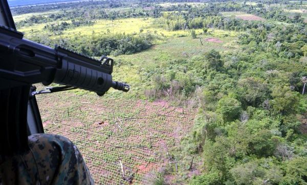 Narcotráfico se incrementó durante la pandemia, según el diputado Acevedo - Nacionales - ABC Color