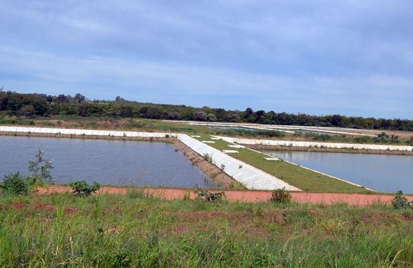 Prosiguen obras de alcantarillado sanitario en San Juan, según MOPC - Nacionales - ABC Color