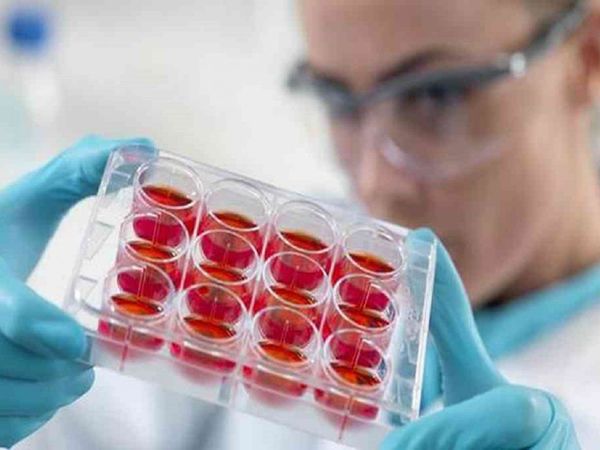 Descubren técnica para obtener células madre más eficientes