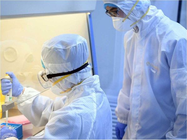 El útero de bio-ingeniería ayuda a la fertilización y el desarrollo fetal