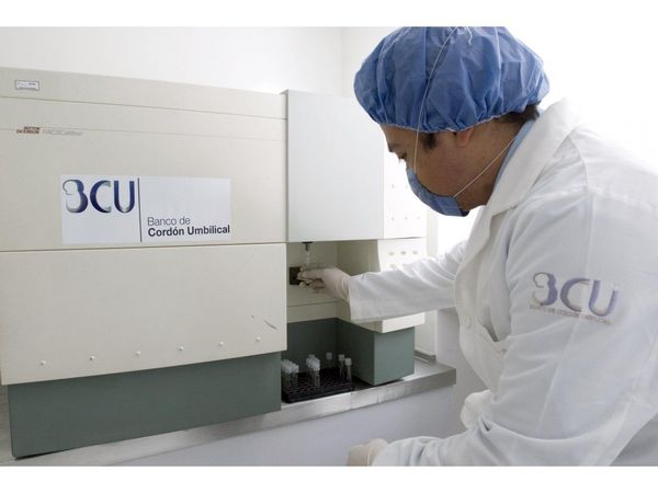 Las células madre, una opción para tratar más de 80 enfermedades
