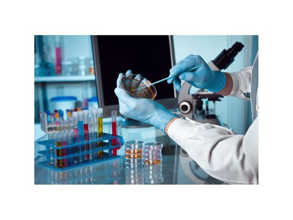 Avanzan en uso de células madre para enfermedades incurables