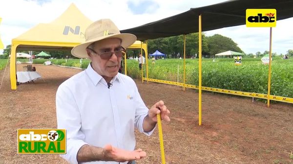 Uso de semillas certificadas y su importancia - ABC Rural - ABC Color