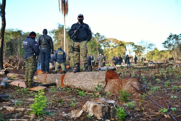 En cuestión de horas, jueza de Itakyry libera a depredadores de reserva de bosque - ABC en el Este - ABC Color