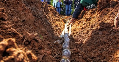 Arranca siembra de caña dulce para abastecer de materia prima a Petropar