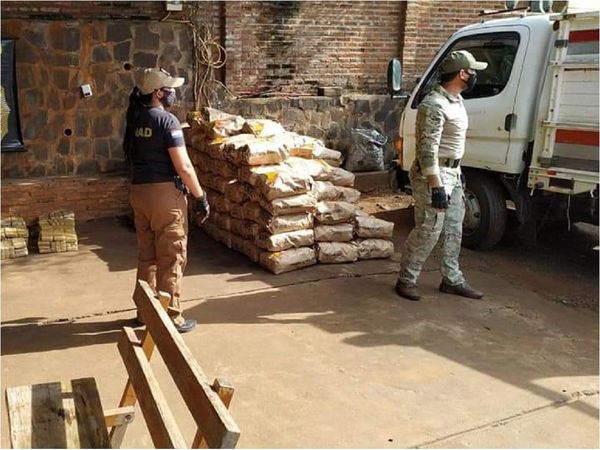 Senad incauta cerca de 900 kilos de marihuana en San Cosme