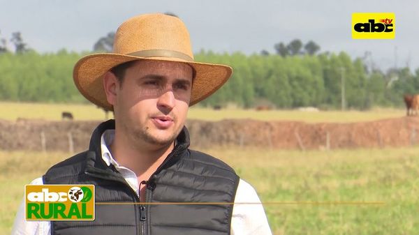 Manejo de terneros con nutrición de maíz a grano entero - ABC Rural - ABC Color