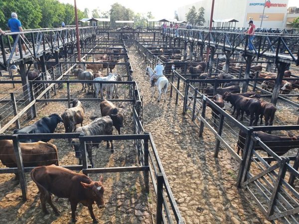 Ferias de consumo: precios cortaron racha alcista de cinco semanas consecutivas