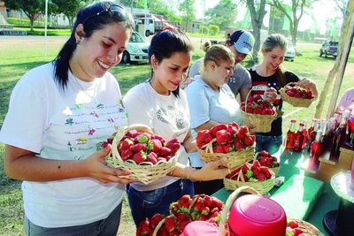 Expo con protocolo sanitario: ¡Las irresistibles frutillas!