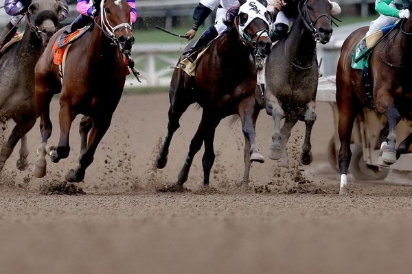 Carrera de caballos contaba con autorización, aseguran · Radio Monumental 1080 AM