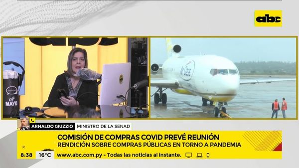 Sigue investigación en la compra de insumos contra el coronavirus en la Dinac - ABC Noticias - ABC Color