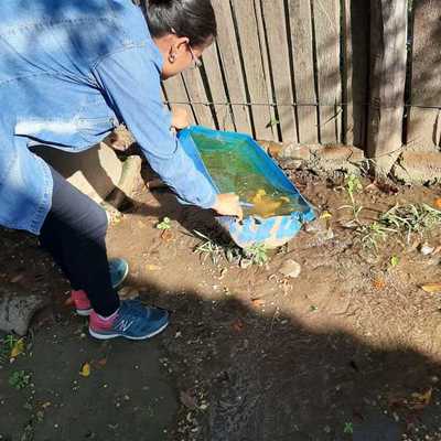 Anuncian días de lluvia y Senepa pide seguir luchando contra el dengue - Megacadena — Últimas Noticias de Paraguay