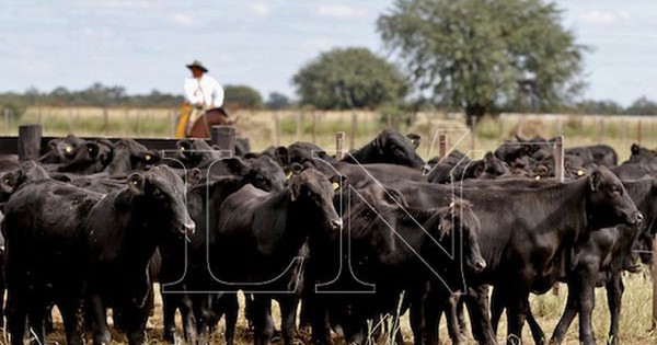 Crean nueva asociación de productores agropecuarios en el Chaco