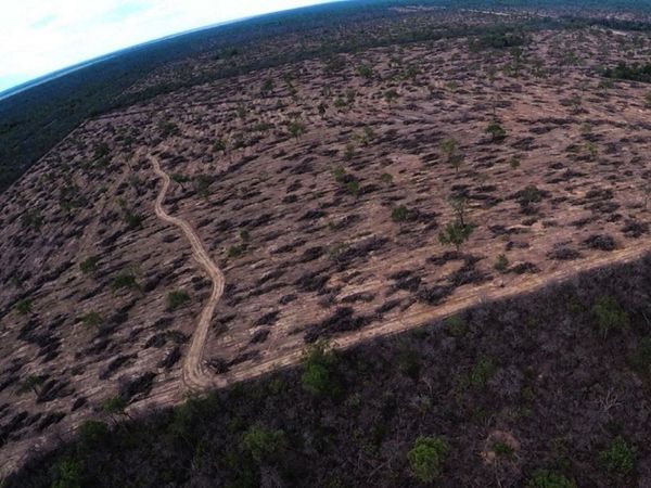 Diez  áreas terrestres dejan de ser protegidas por deficiencias