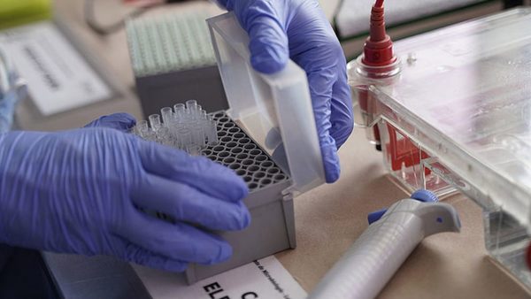 Agencias de viajes, mueblerías y ferreterías proveían insumos médicos al Estado