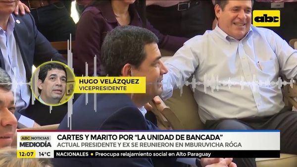 Cartes y Marito, por “la unidad de bancada” - ABC Noticias - ABC Color