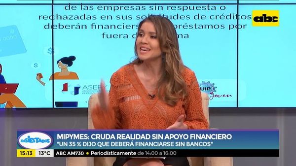 Mipymes intentan “sacar excusas” a casas financieras para recibir crédito - Ensiestados - ABC Color