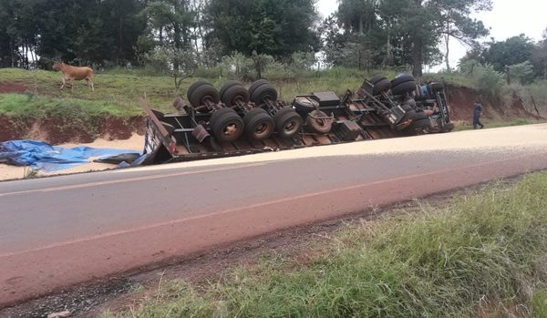 Aparatoso vuelco de camión cargado de soja