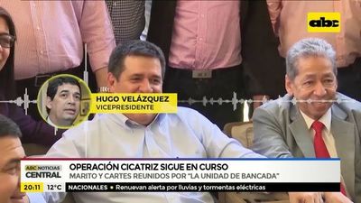 Cartes y Marito por “la unidad de la bancada” - ABC Noticias - ABC Color
