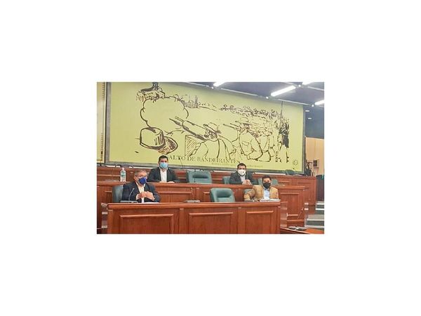 Concejales presentaron más pruebas para solicitar intervención en Concepción