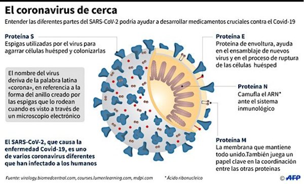 COVID “VOLADOR ¿Doñas tenían razón?: el virus ¿vuela? | Crónica