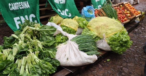 Campesinos donan 20 mil kilos de alimentos para comedores comunitarios