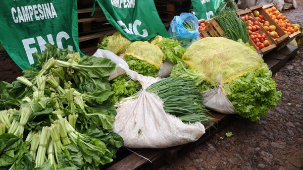 Campesinos donan 20.000 kilos de alimentos para ollas populares