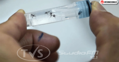 China registra caso de dengue el mismo día que confirmó paciente con peste negra