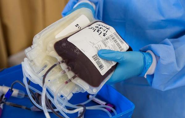 Salud llama a recuperados de Covid-19 a donar plasma convaleciente