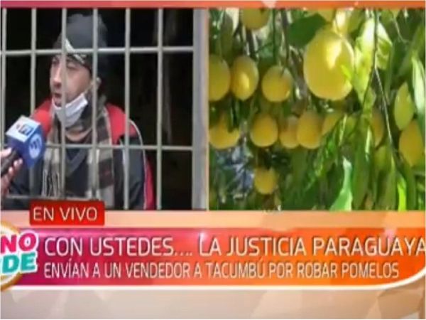 "No pensé que iba a ser demasiado malo robar pomelo"