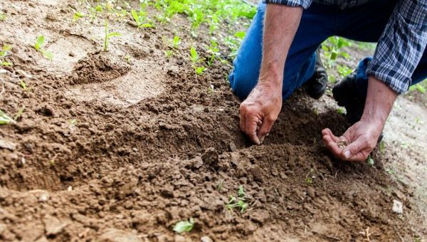 Esta asociación surgió para mejorar la productividad y buenas prácticas agrícolas y ganaderas